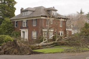 Storm Damage